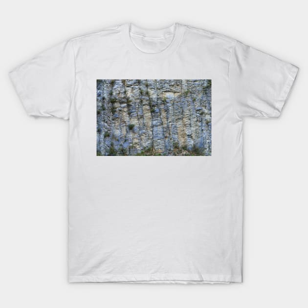 Various rock formations T-Shirt by naturalis